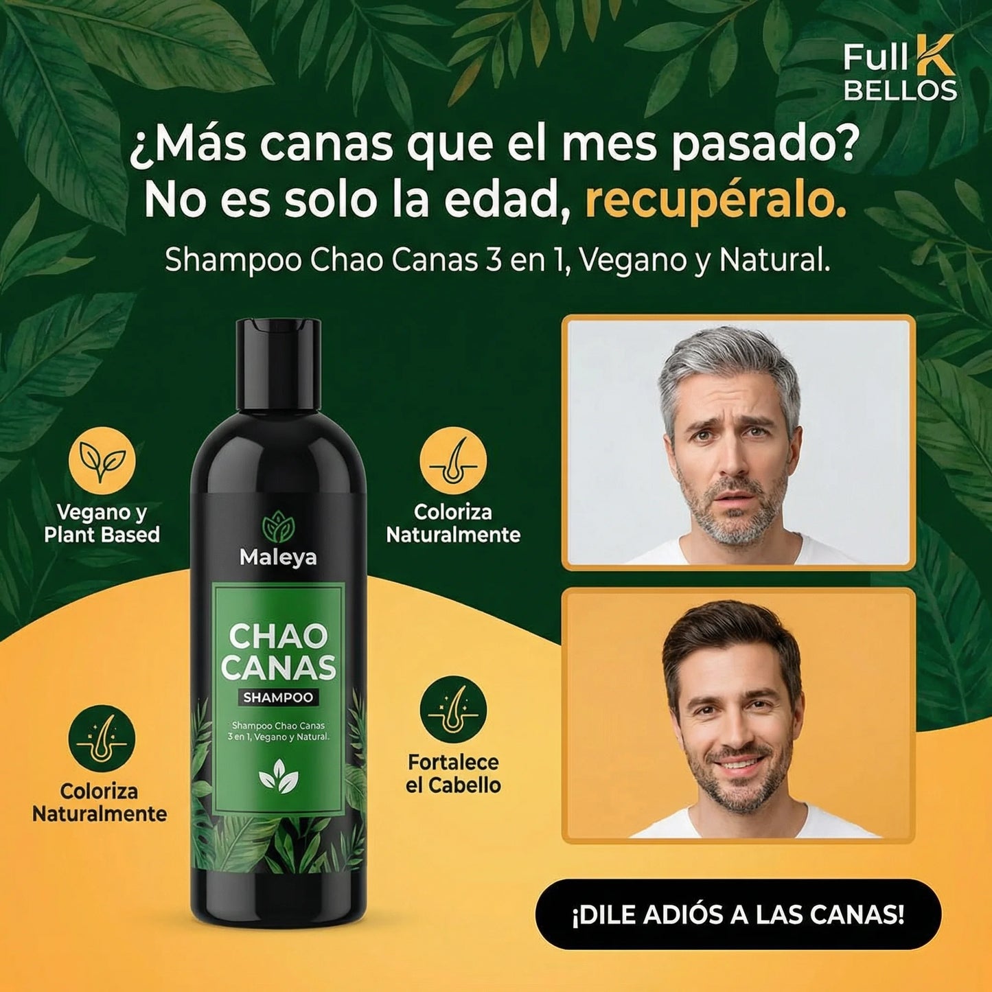 Shampoo Anti Canas