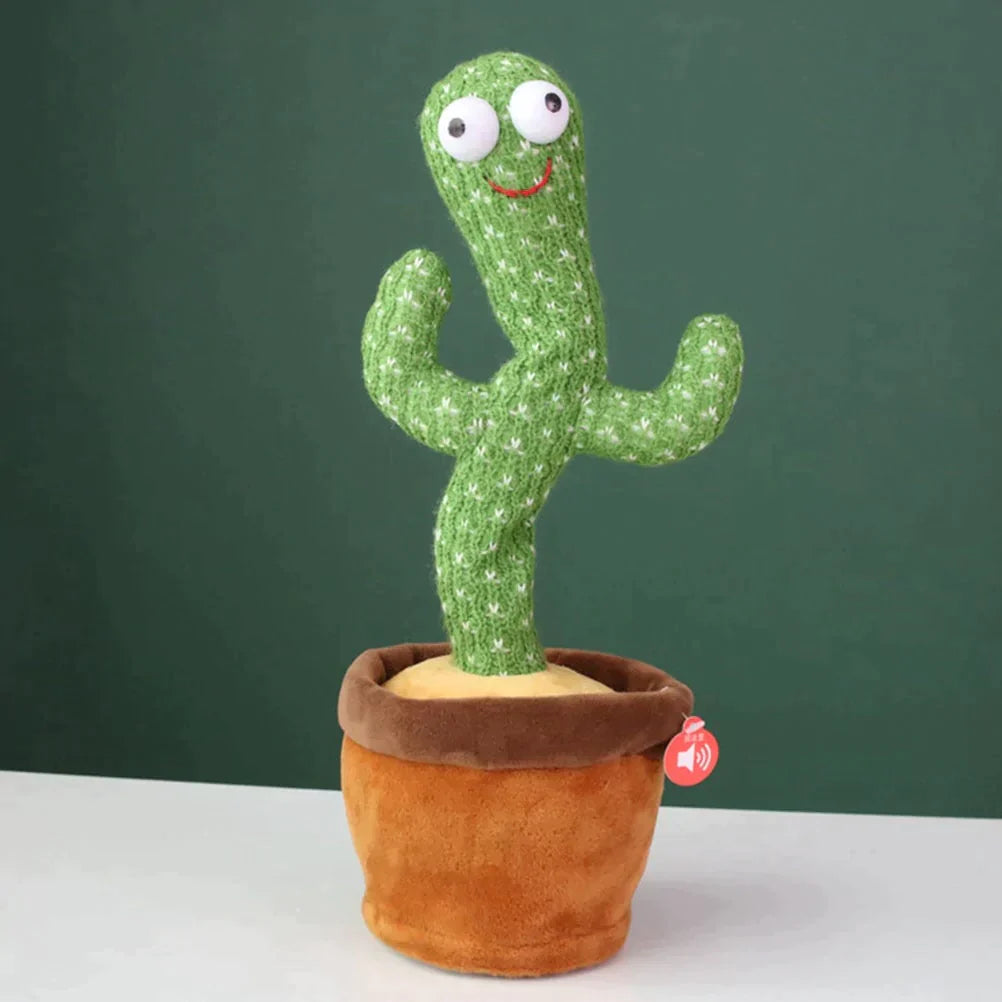 CACTUS MILO BAILARIN + ENVÍO GRATIS