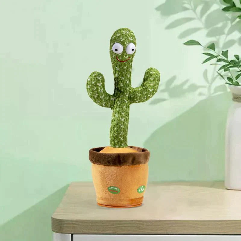 CACTUS MILO BAILARIN + ENVÍO GRATIS