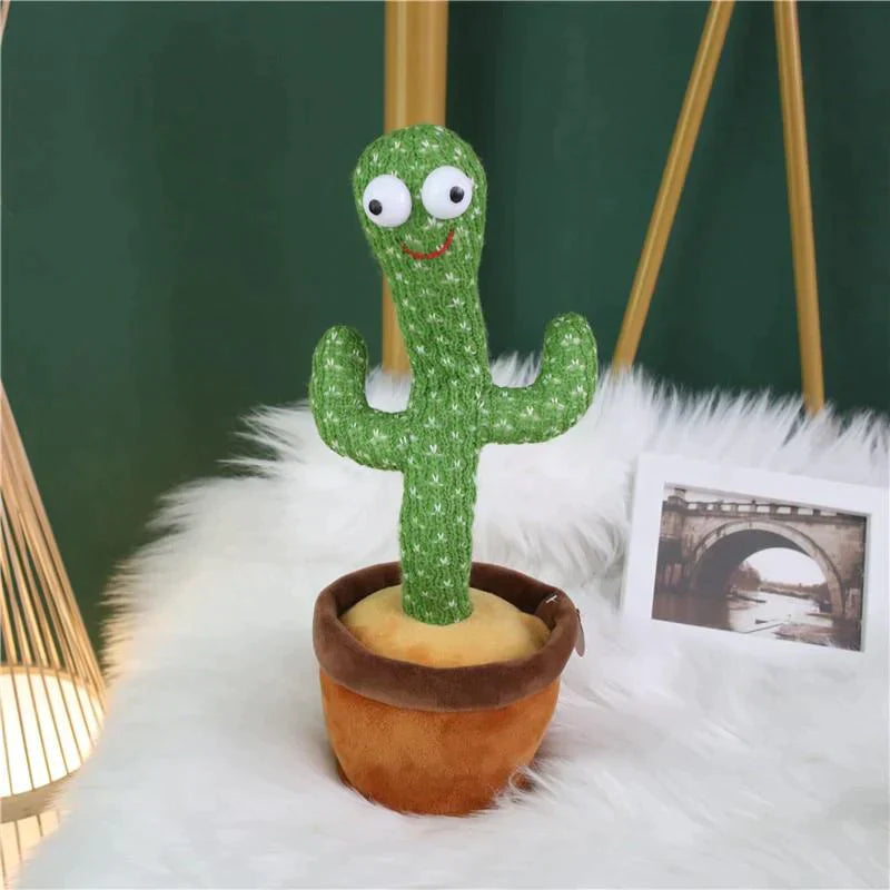 CACTUS MILO BAILARIN + ENVÍO GRATIS